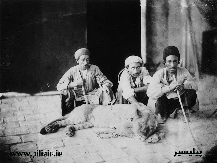 مردان قاجار