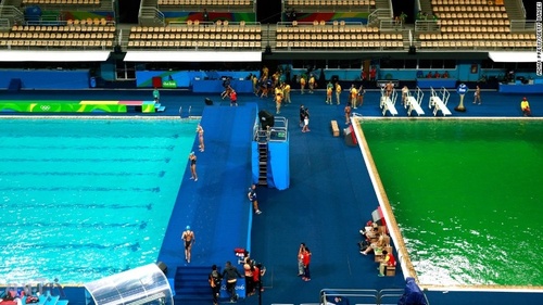 تغییر رنگ آب استخر شنای المپیک (عکس)