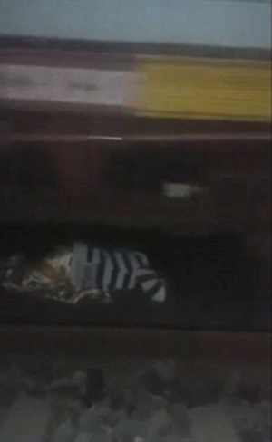 زن شجاعی که زیر قطار خوابید +تصاویر