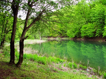 دریاچه میانشه خواهر خوانده ی دریای خزر دریاچه میانشه خواهر خوانده ی دریای خزر