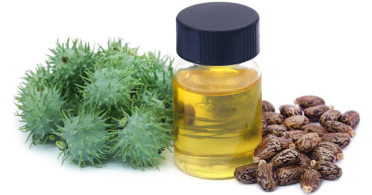 با ۵ فایده بی نظیر روغن کرچک برای پوست صورت آشنا شوید؟ با ۵ فایده بی نظیر روغن کرچک برای پوست صورت آشنا شوید؟