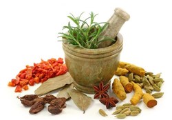 با مصرف سبزی و بذر خرفه به جنگ سرطان و دیابت بروید