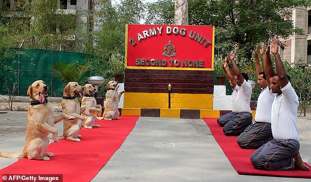 تمرین یوگا افسران هند همراه با سگ‌ها + عکس