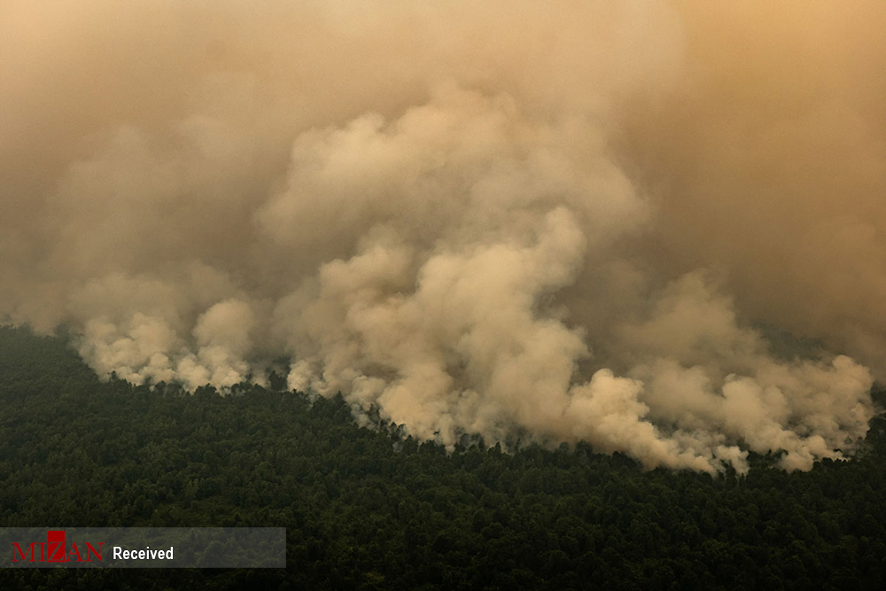 عکس|ادامه آتش سوزی وسیع در جنگل‌های اندونزی