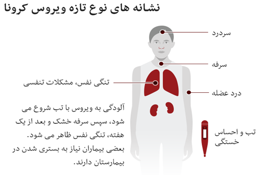 قلیان عامل اصلی ویروس کرونا