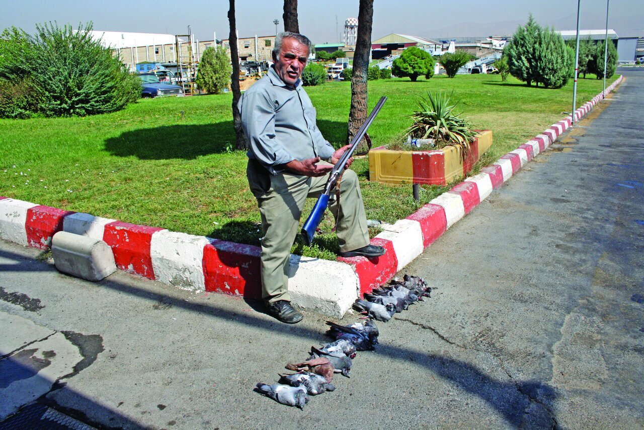 قدر شکارچی فرودگاه مهرآباد را بدانید+ تصاویر