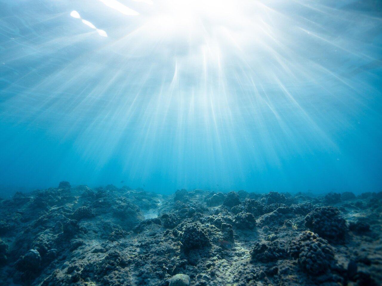 کشف ردپای موجودات‌فضایی در کف اقیانوس‌