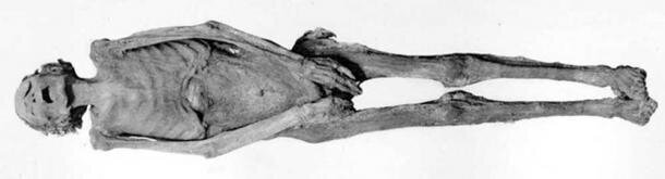 راز جیغ زدن مومیایی نفرین‌شده‌ چیست!