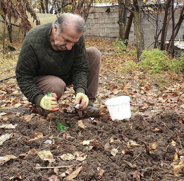 مهران رجبی در حال باغبانی حیاط خانه اش + عکس