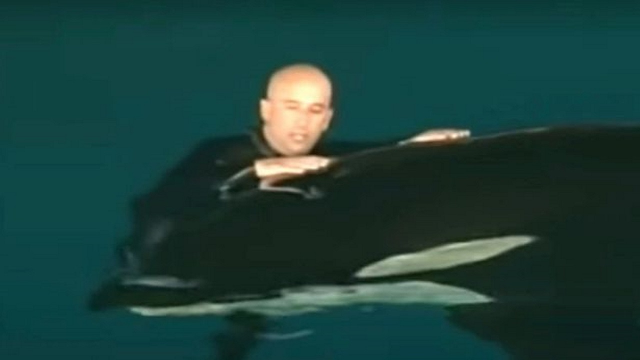 واکنش حادثه ساز یک نهنگ به مربی‌اش حین انجام حرکات نمایشی+فیلم