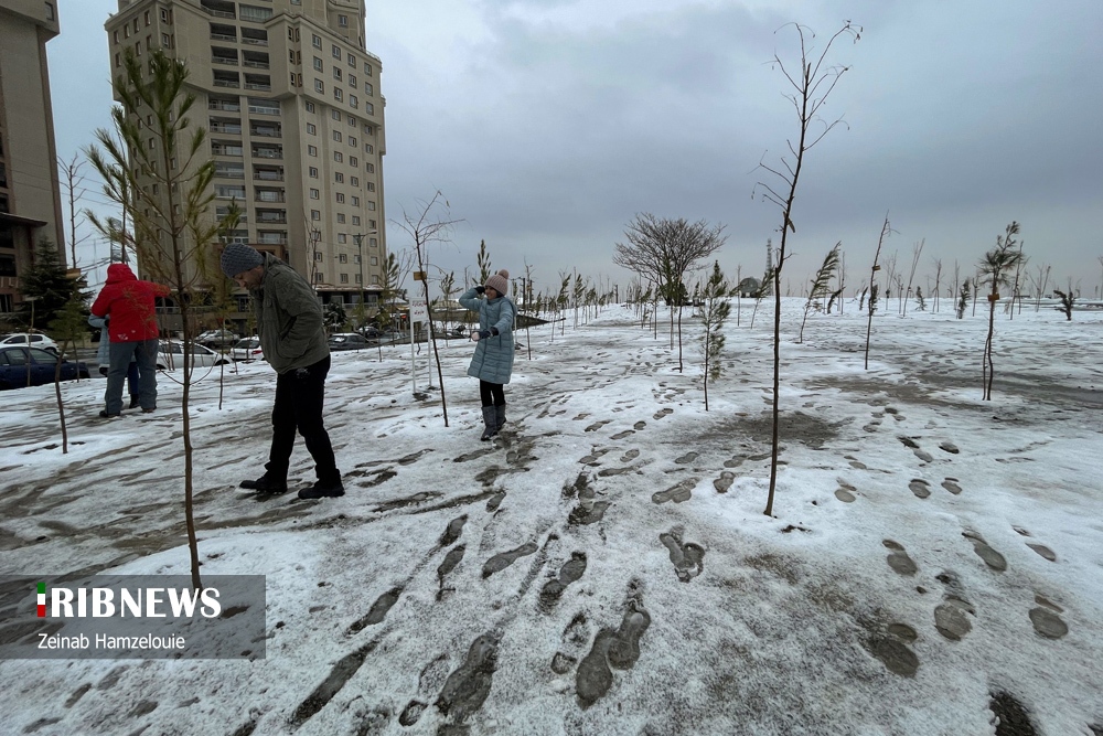اولین بارش برف ۱۴۰۰ در تهران به روایت تصویر