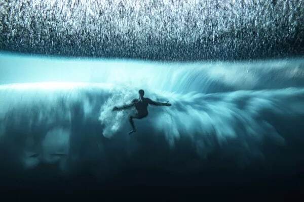 مسابقه عکاسی اقیانوس ۲۰۲۲، زیبایی‌ های زیر آب + تصاویر