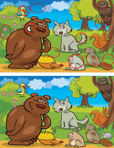 جواب اختلاف تصاویر