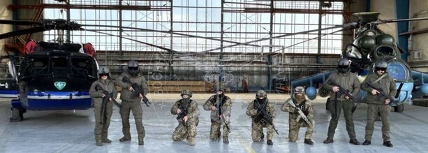 شاهین سیاه آمریکایی