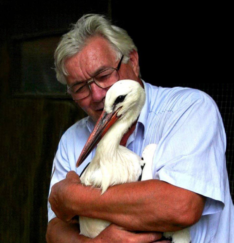 استفان و ملنا