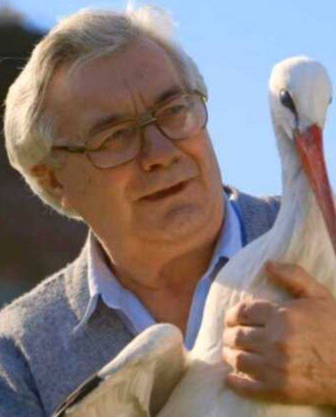 رابطه بین مرد لبنانی و لک لک