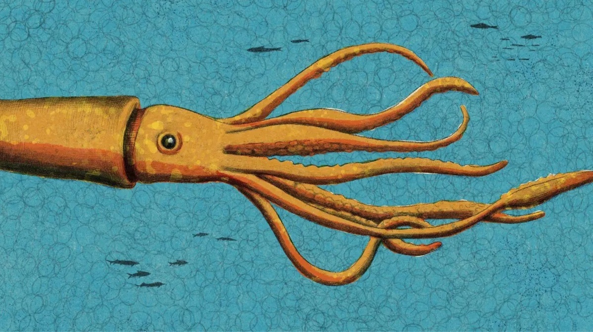 رقابت تنگاتنگ دانشمندان برای کشف گونه های جدید اقیانوسی