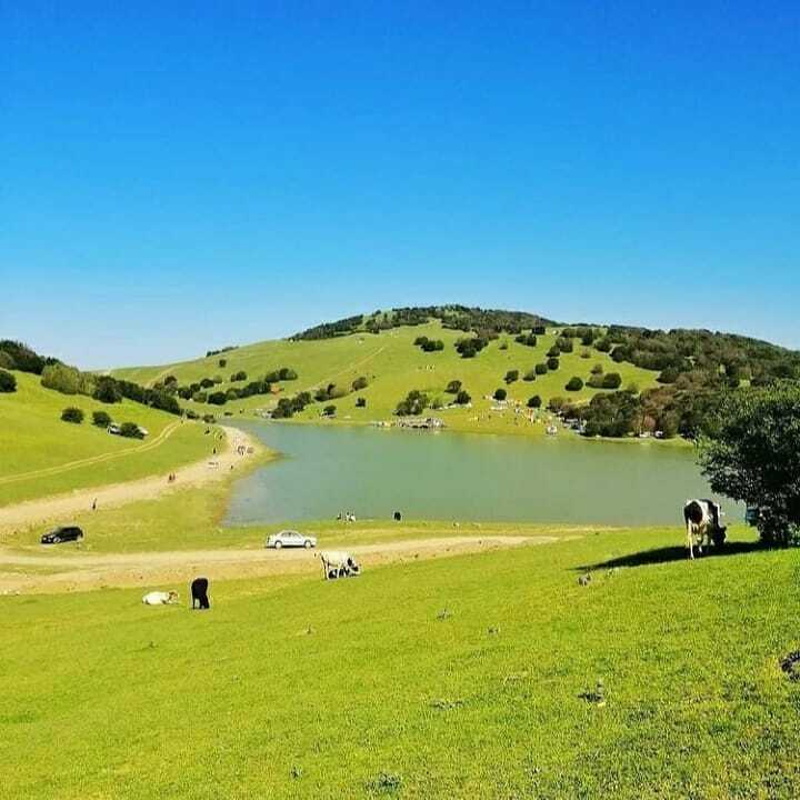 دریاچه شگفت انگیزی‌ که در میان چمنزارها مخفی است+ تصاویر