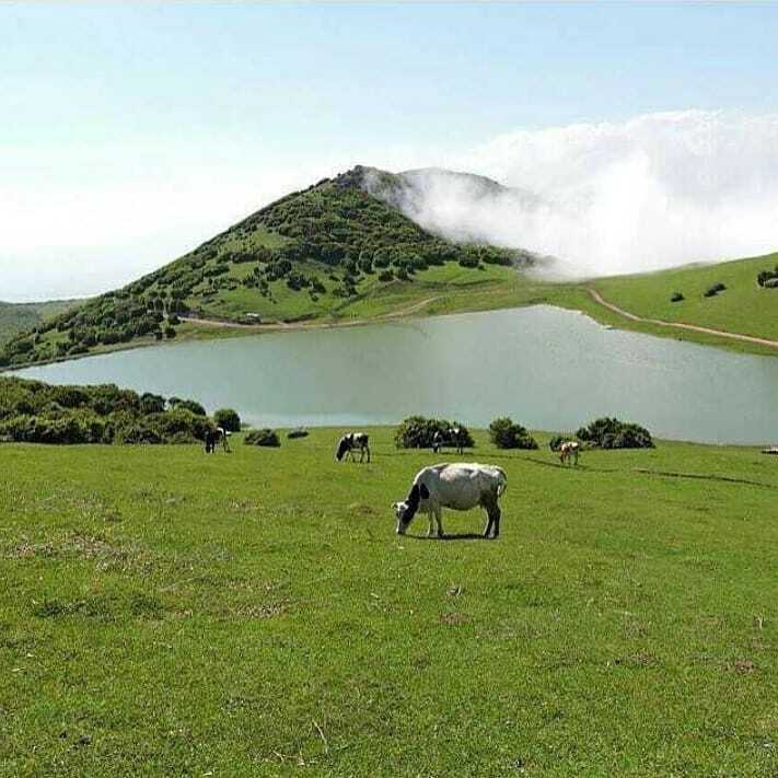 دریاچه شگفت انگیزی‌ که در میان چمنزارها مخفی است+ تصاویر