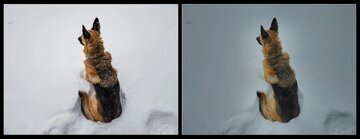 تفاوت های جالب دوربین های سامسونگ گلکسی S23 Ultra با آیفون اپل 14 Pro